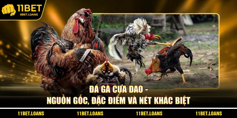 đá gà cựa dao