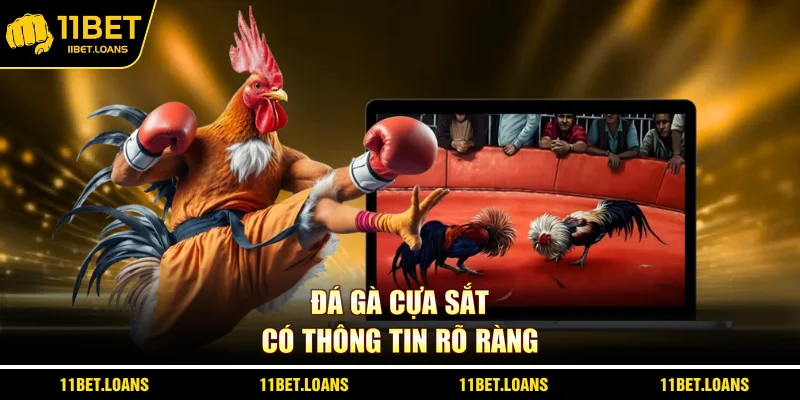 Đá gà cựa sắt có thông tin rõ ràng