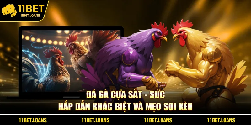 đá gà cựa sắt