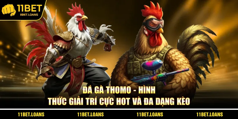 đá gà Thomo