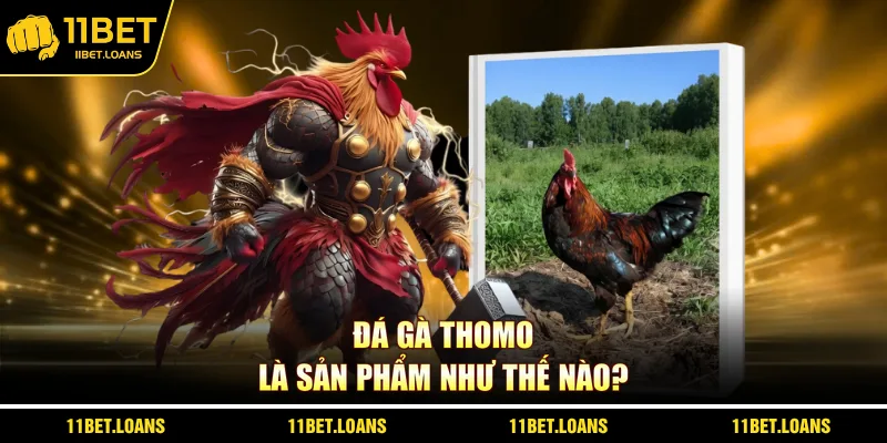 Đá gà Thomo là sản phẩm như thế nào?