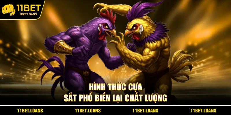 Hình thức cựa sắt phổ biến lại chất lượng