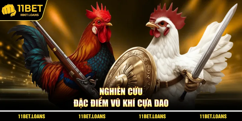 Nghiên cứu đặc điểm vũ khí cựa dao