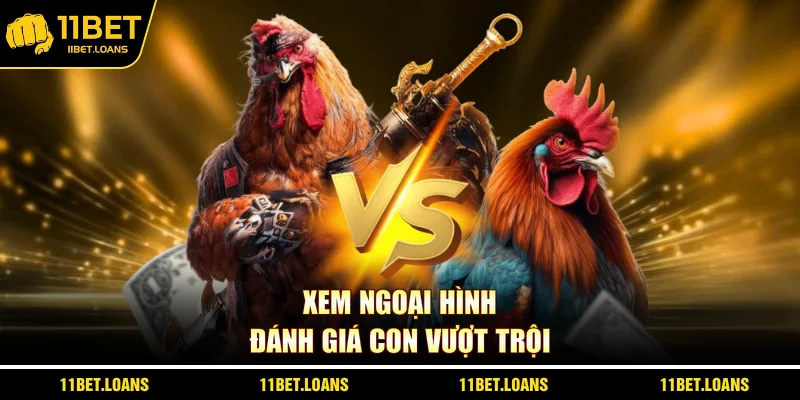 Xem ngoại hình đánh giá con vượt trội